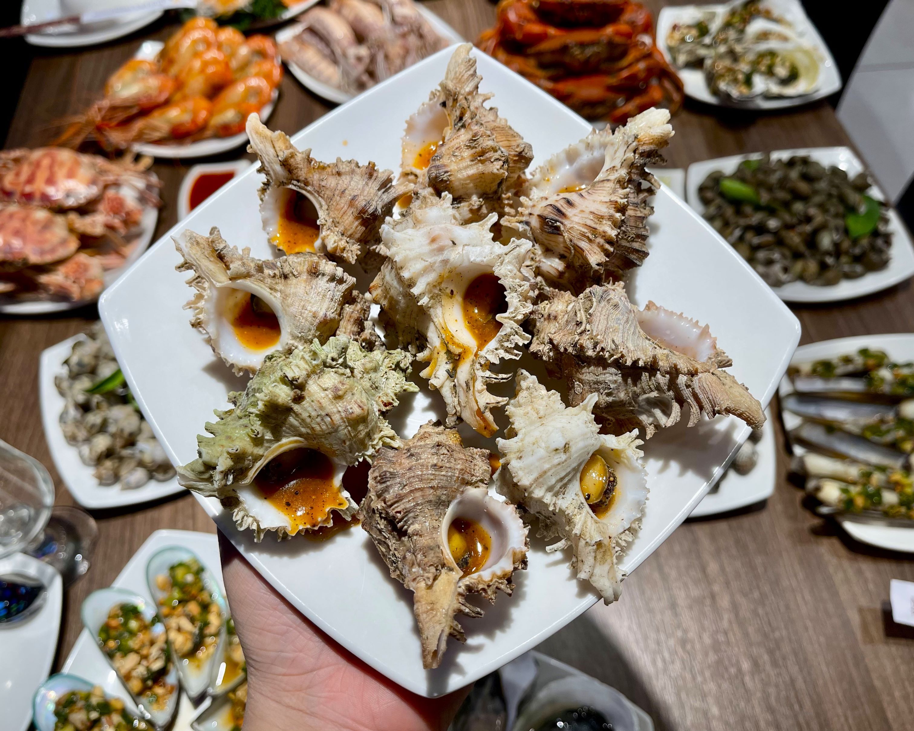 Ốc gai – bên ngoài gai góc bên trong ngọt ngào