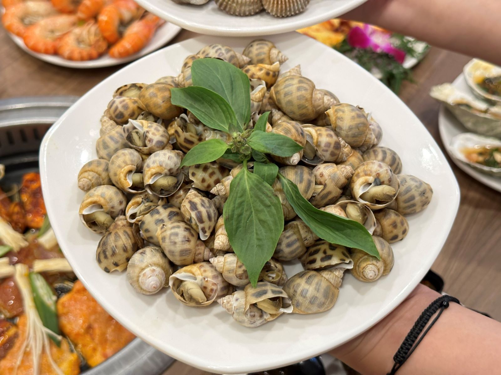 Ăn ốc hương có lợi cho sức khỏe như thế nào?