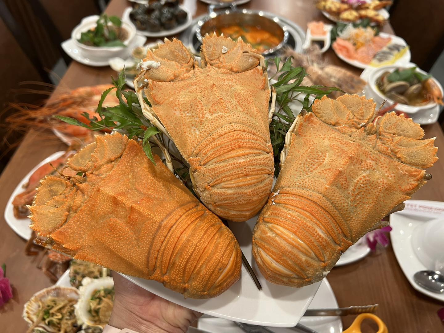 Top những món hải sản ngon bạn phải thử một lần khi đến Úc