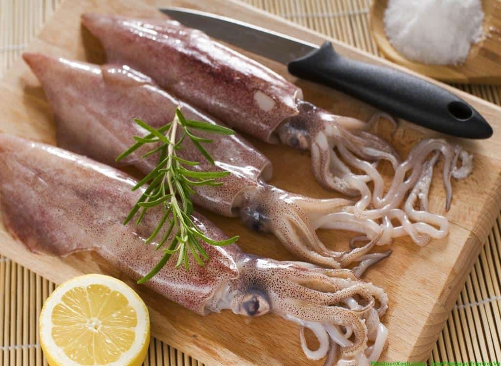 Sự khác biệt giữa hai “ông hoàng xúc tua”: Mực và bạch tuộc