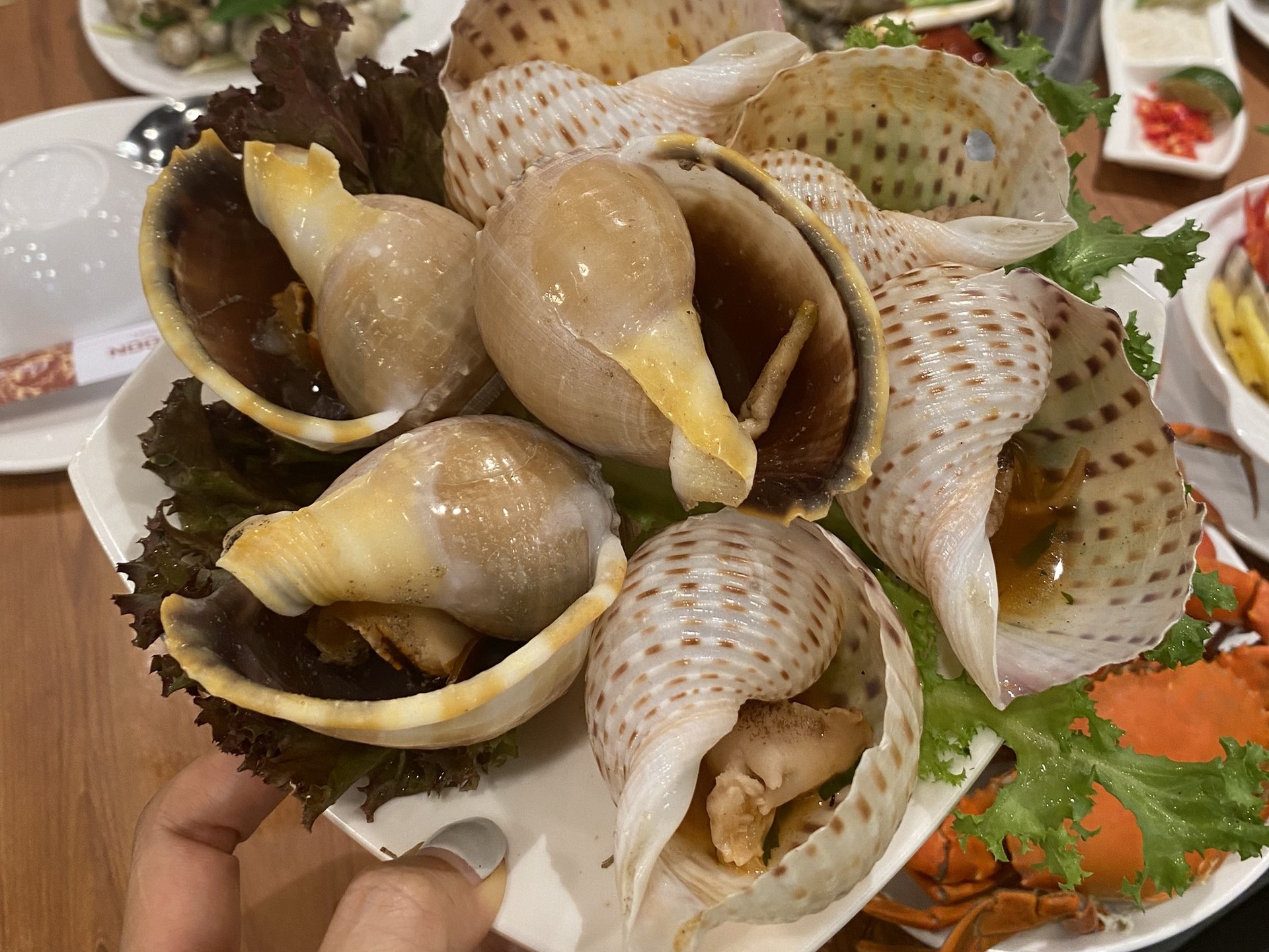 Đặc sản Ốc giấy miền Trung - bạn đã thử chưa?