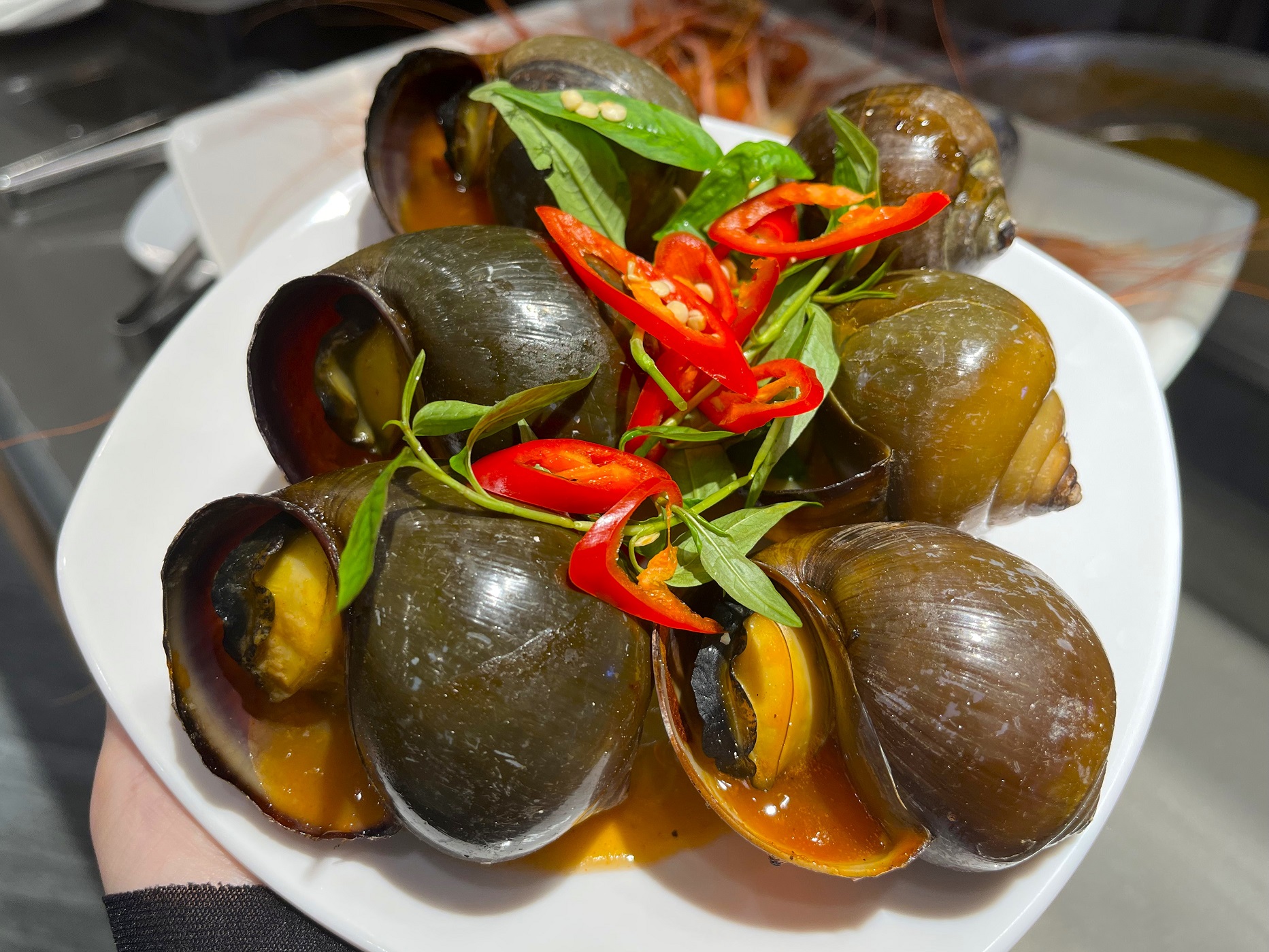 Khám phá ngay những loại ốc nước ngọt ngon khó cưỡng