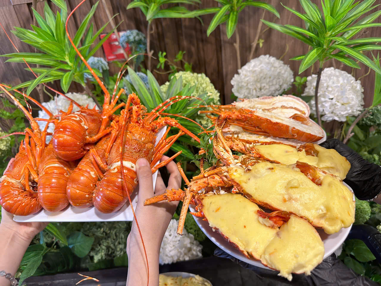 Chính thức - Buffet Poseidon Premium sẽ có mặt tại Đà Nẵng vào 23/5 tới!